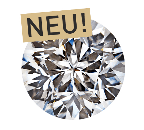 LEONARDO DA VINCI CUT